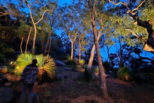 a person walking through a forest at night at Pagoda Point in Bar Point