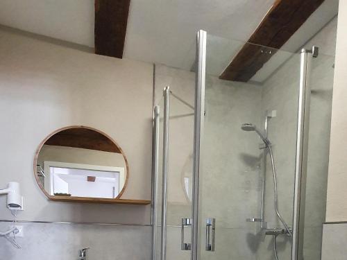 a bathroom with a shower and a mirror at Zeihäänger Stubb in Schwalmstadt