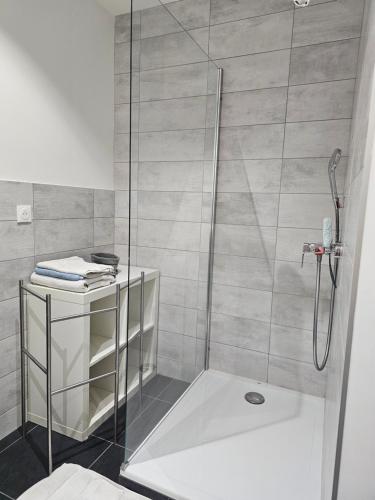 Koupelna v ubytování Appartement de caractère