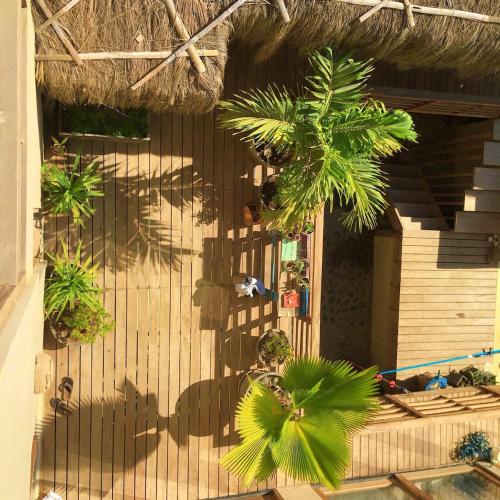 Zahrada ubytování Casa Flamenco en la playa con piscina y playa, un paraíso!