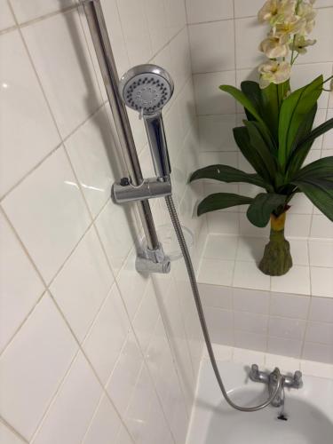 a shower head in a bathroom with a plant at Amazing New Bed Stay in New Cross Goldsmiths in London