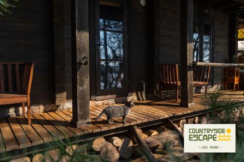 a cat standing on the porch of a house at Countryside Escape - Lake Rooms in Trakai