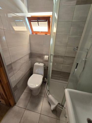 une salle de bain avec toilettes, douche et lavabo dans l'établissement Ośrodek Wypoczynkowy Inco, à Międzywodzie