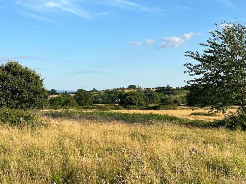 a field of tall grass with a tree in it at The Bakehouse in Castlemorton