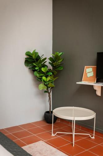 a table and a potted plant in a room at Aayu Church St - 7 mins to Esplanade, George Town in George Town