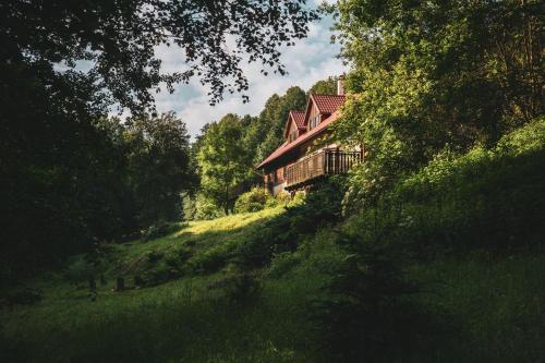 Příroda nedaleko apartmánu
