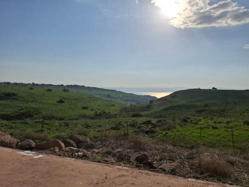 a view of a grassy hill with a dirt road at Yamas in Ani'am