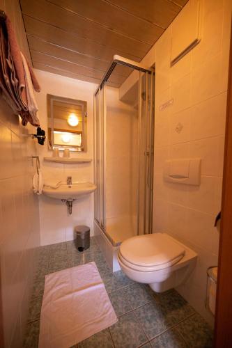 a bathroom with a toilet and a sink and a shower at Triembachhof in Schönau am Königssee