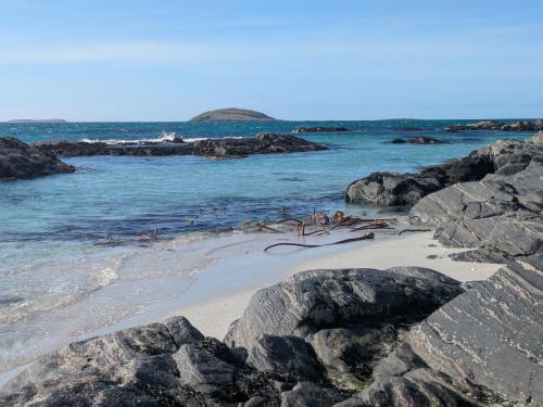 a group of birds on a beach with rocks at Pod Beag beside the sea Isle of Eriskay in Eriskay