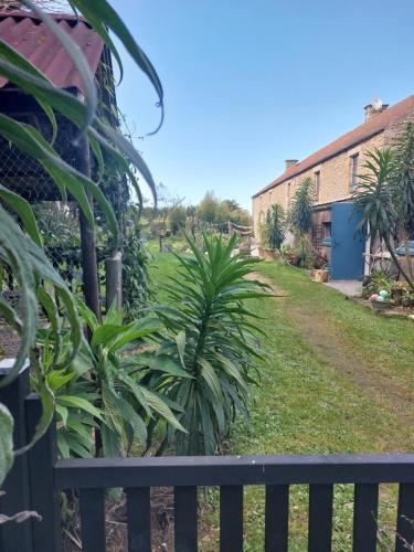 a garden with a fence and a palm tree at Retour aux Sources in Gouberville