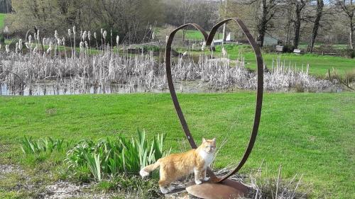 an orange and white cat standing next to a sculpture at Gîtes à l'ombre des chênes in Châteauvieux