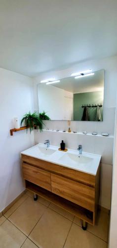 une salle de bain avec un lavabo et un grand miroir dans l'établissement L'abreuvoir de la Mer- villa - plage, à Sangatte