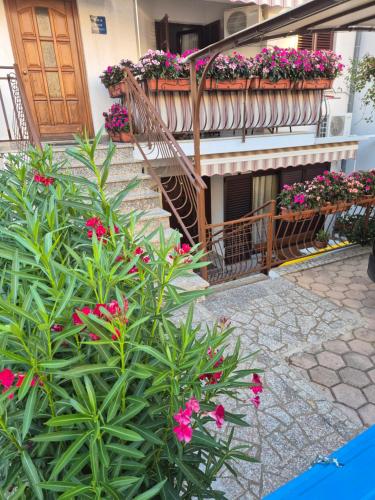 Gallery image of Apartments Antolović in Vrsar