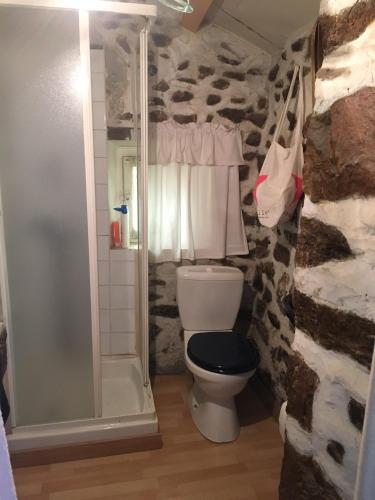 une salle de bain avec toilettes et douche dans l'établissement Les volets bleus, aux Angles