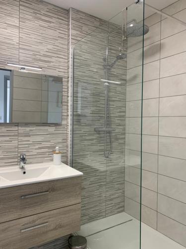 une salle de bain avec une douche avec un lavabo et un miroir dans l'établissement Grand T2 Pointe Rouge plage, à Marseille