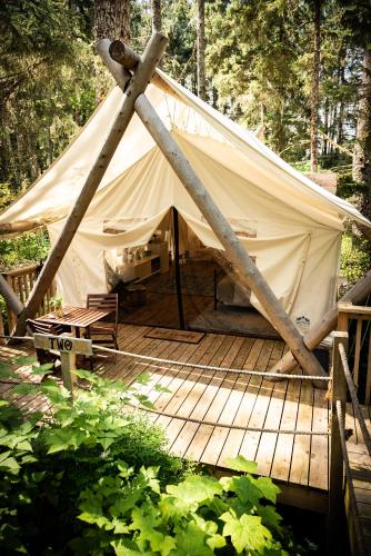 a tent on a wooden deck in the woods at Haida Gwaii Glamping in Tlell
