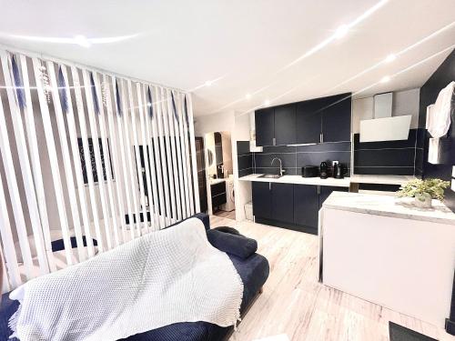 un salon avec un canapé et une cuisine dans l'établissement Charmant T1bis Centre, à Toulouse