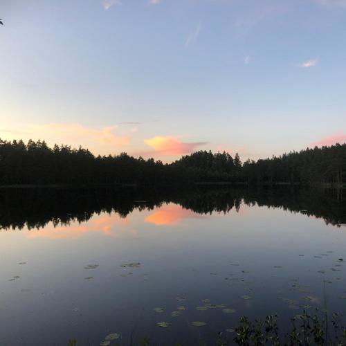 a view of a lake at sunset with trees at Smålandstorpets lanthotell in Hok