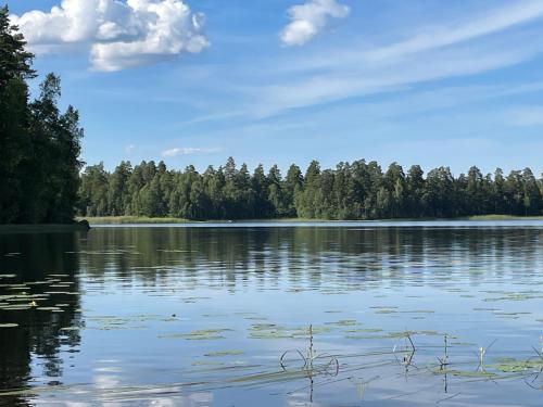 a view of a lake with trees in the background at Smålandstorpets lanthotell in Hok