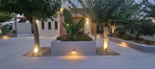 a courtyard with trees and lights in front of a building at Rea's Luxury Apartments in Stoupa