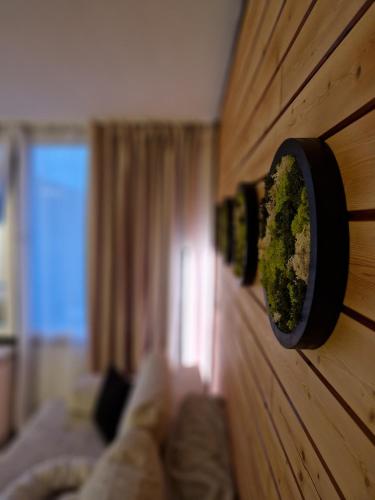 a wall with some moss on the wall at Schwarzwald Apartment in Sasbachwalden