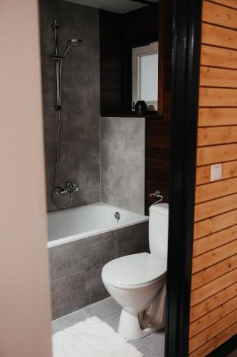 a bathroom with a toilet and a bath tub at Schwarzwald Apartment in Sasbachwalden