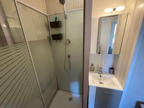 une salle de bain avec douche et lavabo dans l'établissement Appartement climatisé avec 1 chambre à deux pas de la plage des Sablettes, à La Seyne-sur-Mer