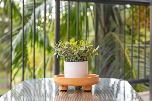 a potted plant sitting on top of a table at Casuarina Vista - Beachfront Elegance in Rapid Creek in Nightcliff