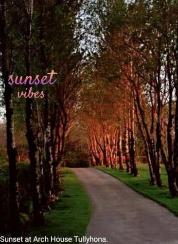a tree lined road with a forest of trees at Arch House in Florencecourt
