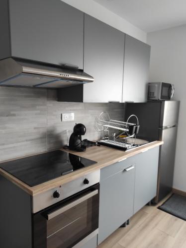 une cuisine avec un évier et une cuisinière four supérieur dans l'établissement appartement en Vendée, près de circuits de rando, vélo et d'un des plus beaux villages de France, à Cheffois