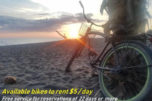 a person with a bike on the beach at sunset at CasaMapache in Playa Hermosa