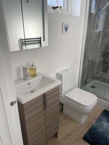 a bathroom with a sink and a toilet and a shower at Villa Maria Southbourne - 2 Mins to Beach - Coastal - Dog-Friendly - Modern Luxury - Large Private Garden - Private Access - Parking in Southbourne