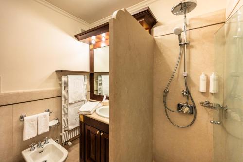 a bathroom with a shower and a sink at Palazzo Porta Picta in Bergamo