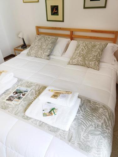 Ένα ή περισσότερα κρεβάτια σε δωμάτιο στο Ficodindia Rooms
