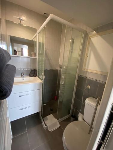 une salle de bain avec une douche, un lavabo et des toilettes dans l'établissement Studio-mezzanine en centre ville proche Cathédrale, à Orléans