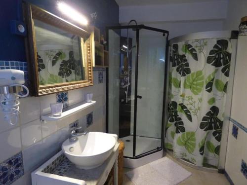 une salle de bain avec douche et lavabo dans l'établissement les Lavandes, à Saint-Paul-de-Fenouillet