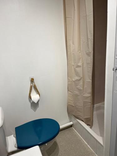 La salle de bains est pourvue d'une douche et de toilettes bleues. dans l'établissement Comfortable duplex apartment, à Agen