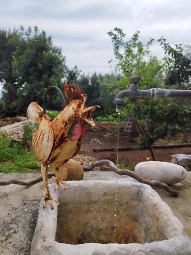 a chicken is standing in a water fountain at Jenoa, sealight house in Agios Nikolaos