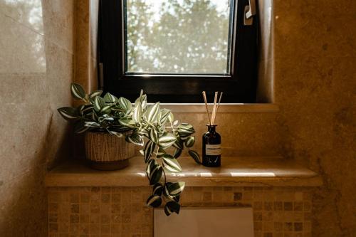 a window sill with a plant and a bottle of wine at The Tribe Alpaca Retreat in Brăneşti