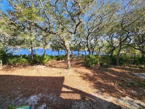 a shady area with trees and the ocean in the background at Blue Haven in Coffeyville