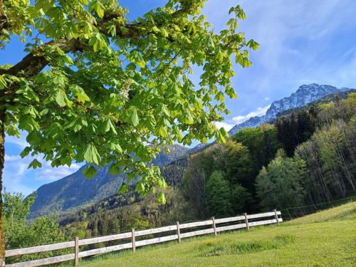 a fence in a field with mountains in the background at Hölbinger Alm - Apartments in Anger
