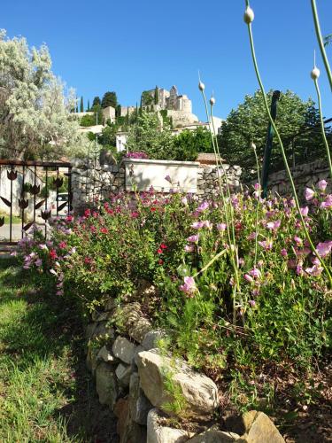 Pause couleur Lavandula