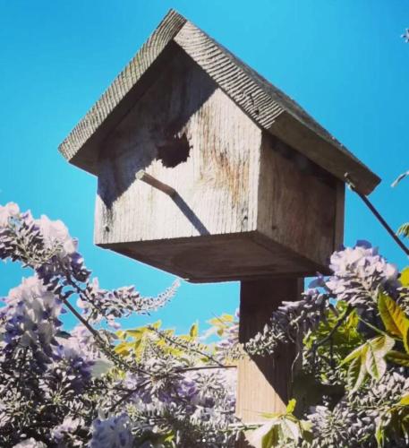 Fotografie z fotogalerie ubytování Simply Suite - Sua Casa Longe de Casa v destinaci YYJ