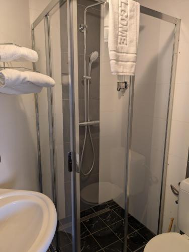 a bathroom with a shower with a toilet and a sink at A Fleur de Couette in Auvelais