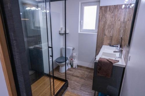a bathroom with a shower and a sink and a toilet at Chez Simon, au fil de l'eau in Revel