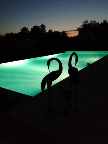 Magnifique logement indépendant dans villa avec piscine