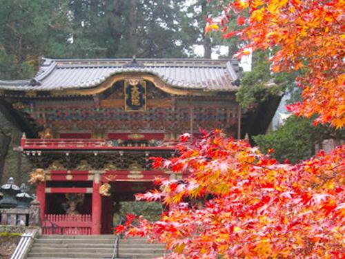 a building with a red roof and stairs in front at Hotel Euro City in Nikko