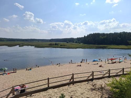 a group of people on a beach near a lake at Dom z Duszą w Centrum Zwierzyńca in Zwierzyniec