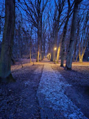 a path in a park with trees at night at Dom z Duszą w Centrum Zwierzyńca in Zwierzyniec