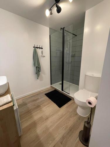 une salle de bain avec douche et toilettes dans l'établissement L'âme des Vignes Gîte Alsace, à Mittelbergheim